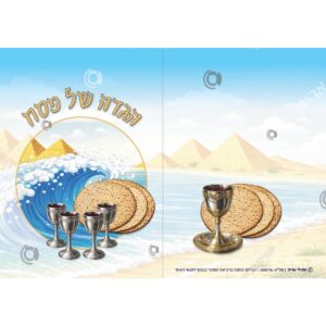 תמונת מוצר: 000176