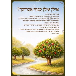 תמונת מוצר: 000199