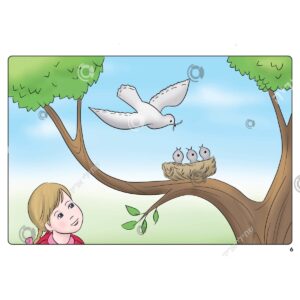 תמונת מוצר: 000227 1