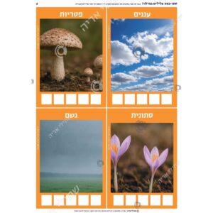 תמונת מוצר: 000285 2