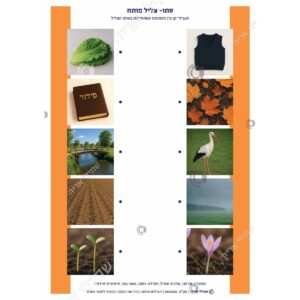 תמונת מוצר: 000286 1