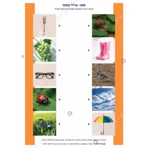 תמונת מוצר: 000286 2