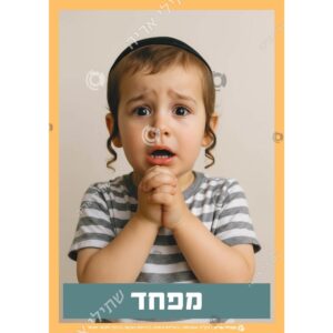 תמונת מוצר: 000384 2