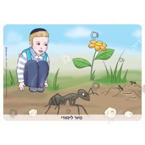 תמונת מוצר: 000508 192