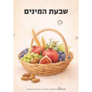 תמונת מוצר: 000538