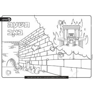 תמונת מוצר: 000567