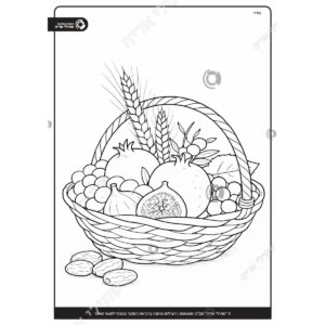 תמונת מוצר: 000638