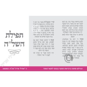 תמונת מוצר: 000831 1