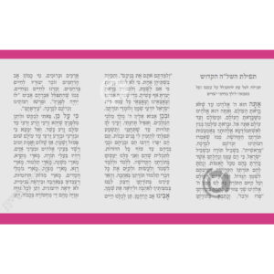 תמונת מוצר: 000831 2