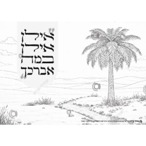 תמונת מוצר: 001116 1