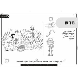 תמונת מוצר: 001179 1