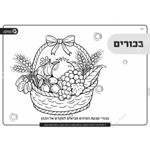 תמונת מוצר: 001179 2