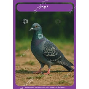 תמונת מוצר: 001458 10