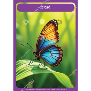 תמונת מוצר: 001458 11