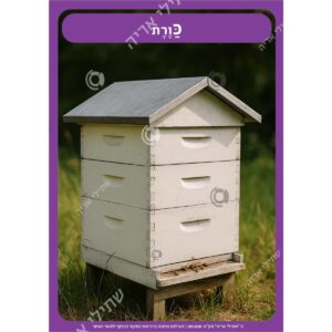 תמונת מוצר: 001458 111