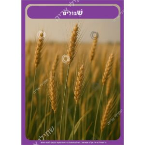 תמונת מוצר: 001458 211