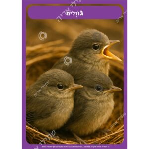 תמונת מוצר: 001458 33