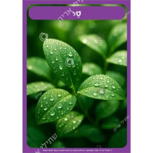 תמונת מוצר: 001458 93