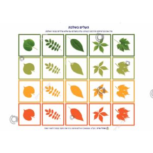 תמונת מוצר: 002322