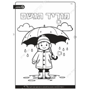 תמונת מוצר: 002739