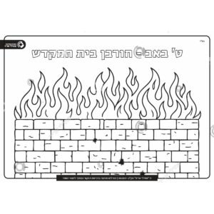 תמונת מוצר: 002819