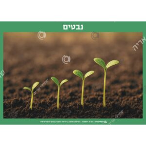 תמונת מוצר: 002857 1