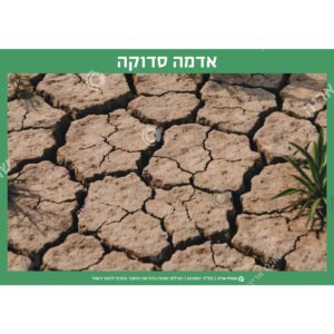תמונת מוצר: 002857 2