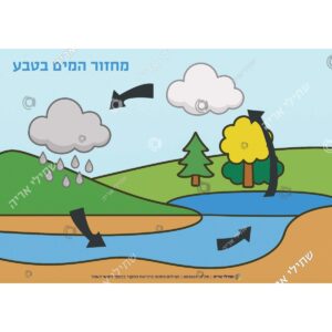 תמונת מוצר: 002869
