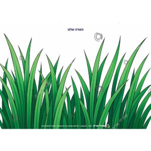 תמונת מוצר: 003037 2