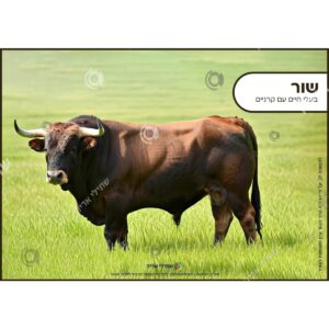 תמונת מוצר: 003157 2