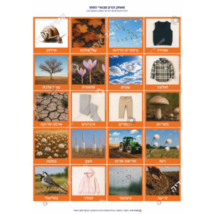 תמונת מוצר: 003172