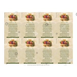 תמונת מוצר: 003177