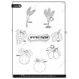 תמונת מוצר: 004246