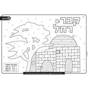 תמונת מוצר: 004360