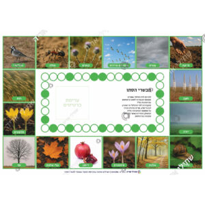 תמונת מוצר: 004386 1