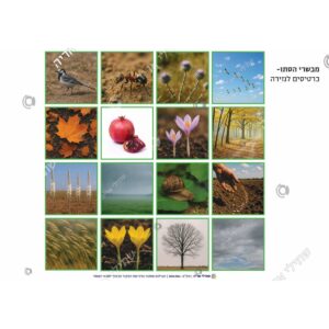 תמונת מוצר: 004386 2