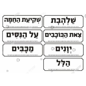 תמונת מוצר: 004499 2