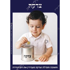 תמונת מוצר: 004649 1