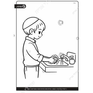 תמונת מוצר: 005589 2