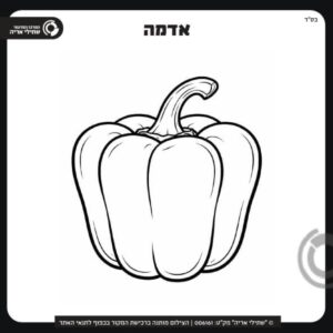 תמונת מוצר: 006161 2