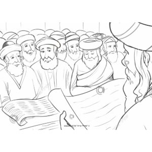 תמונת מוצר: 006344 2