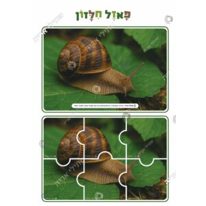 תמונת מוצר: 007045