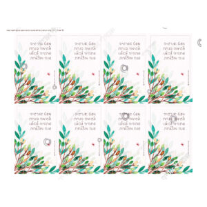 תמונת מוצר: 007127