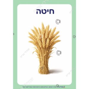 תמונת מוצר: 007307 2