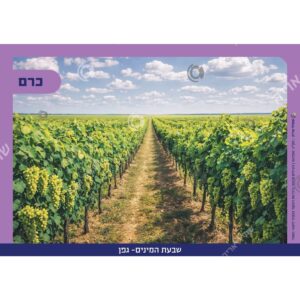 תמונת מוצר: 007310 1