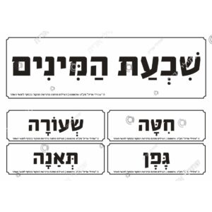 תמונת מוצר: 008074 1
