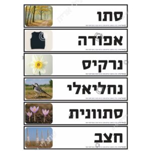 תמונת מוצר: 008192 2