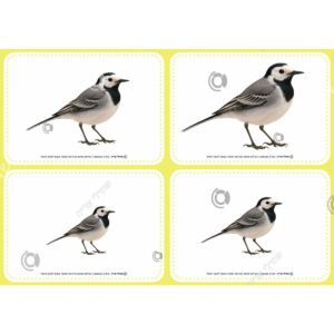 תמונת מוצר: 008328 1