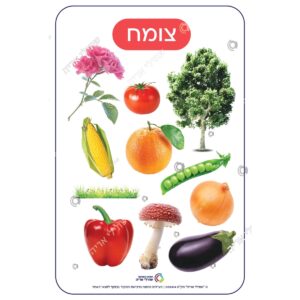 תמונת מוצר: 008418 2