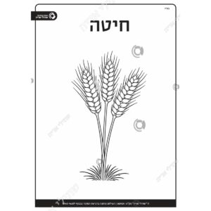 תמונת מוצר: 009211 1